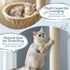 270cm Floor to Ceiling Cat Tree Tower Scratching Post Adjustable Beige