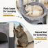 Cat Tree Tower 82cm Scratching Post Furniture Scratcher House Light Grey