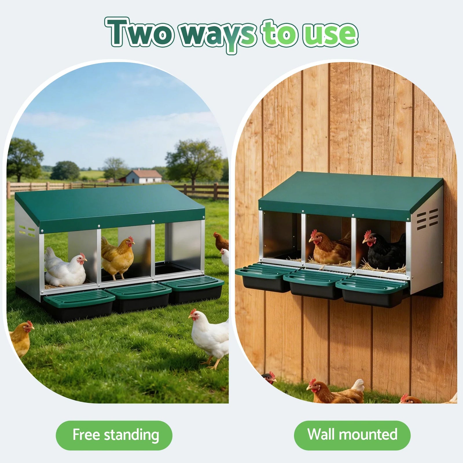Chicken Nesting Box Roll Away 3 Holes Metal Wall Mounted Nest Box Green