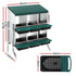 Chicken Nesting Box Roll Away Metal Nesting Box Wall Mounted 6 Holes Green