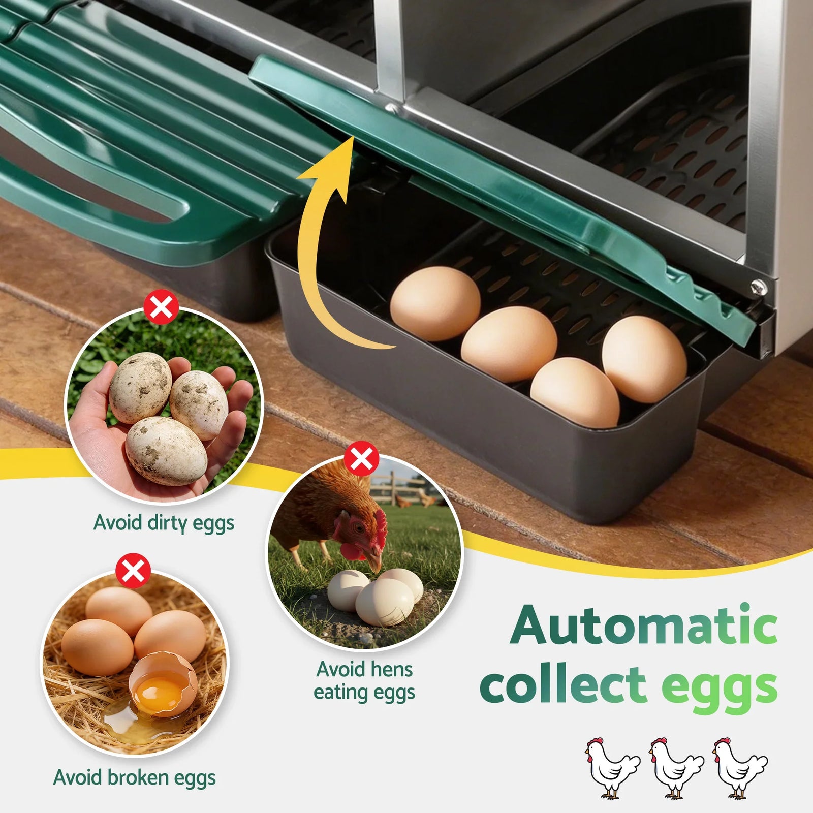 Chicken Nesting Box Roll Away Metal Nesting Box Wall Mounted 6 Holes Green