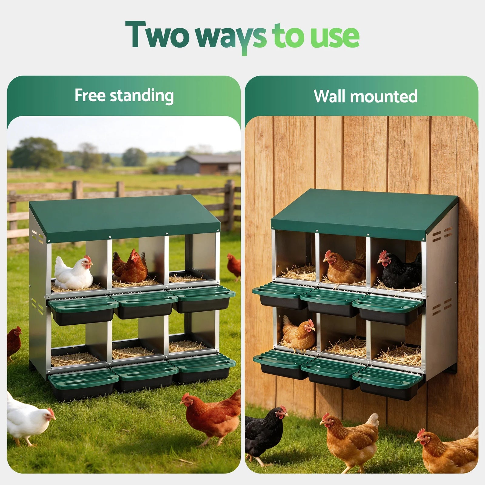 Chicken Nesting Box Roll Away Metal Nesting Box Wall Mounted 6 Holes Green