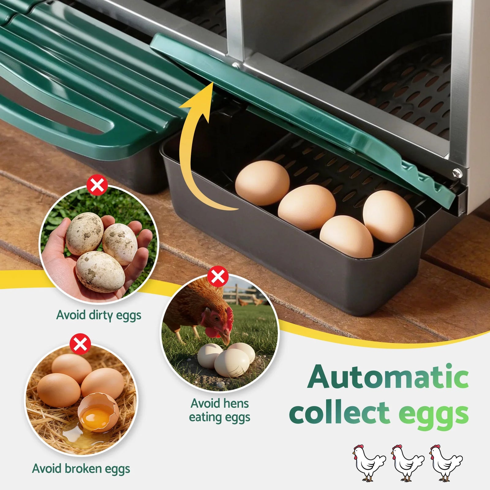 Chicken Nesting Box Roll Away Metal Nesting Box Wall Mounted 6 Holes Green