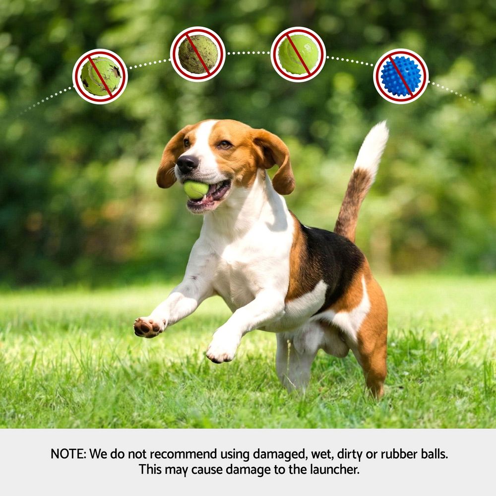 2-in-1 Dog Ball Launcher & Treat Dispenser with 2 Balls Green