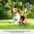 2-in-1 Dog Ball Launcher & Treat Dispenser with 2 Balls Green