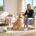 2-in-1 Dog Ball Launcher & Treat Dispenser with 2 Balls Green