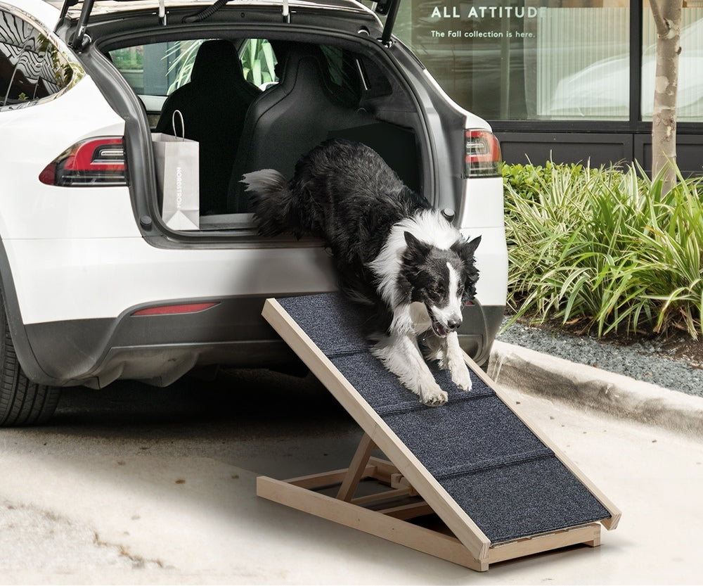 Dog Pet Ramp Adjustable Height Foldable 70cm