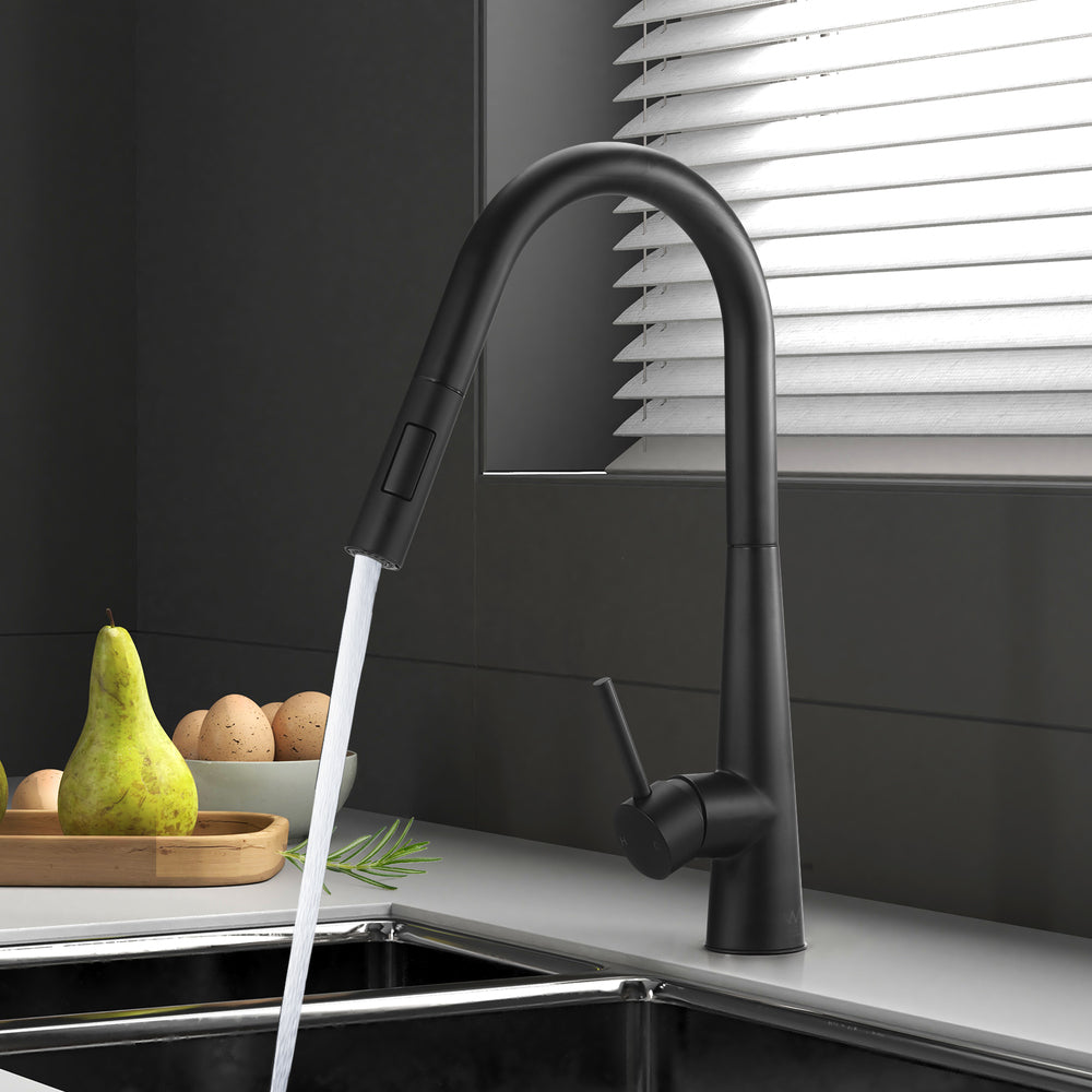 Kitchen Mixer Tap Pull Out Faucet 2-Mode Swivel Black