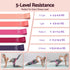 Everfit Pilates Ring Set for Women, 15pcs Home Workout Pilates Equipment with Ring, Ball, Yoga Socks, D-Ring etc. Pilates Starter Kit for Strength, Toning and Flexibility Purple
