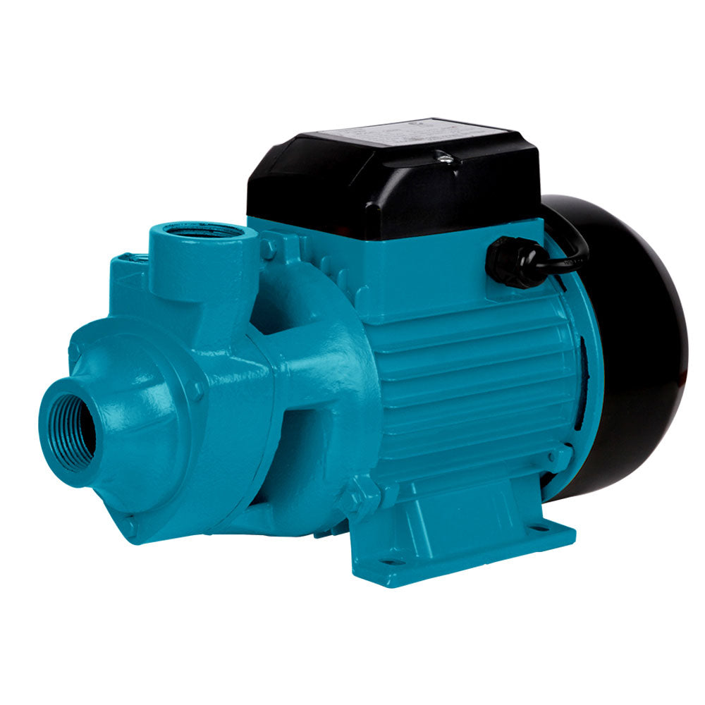 750W Garden Water Pump 3300L/H High Pressure Irrigation Pool Pump 1HP