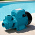 750W Garden Water Pump 3300L/H High Pressure Irrigation Pool Pump 1HP