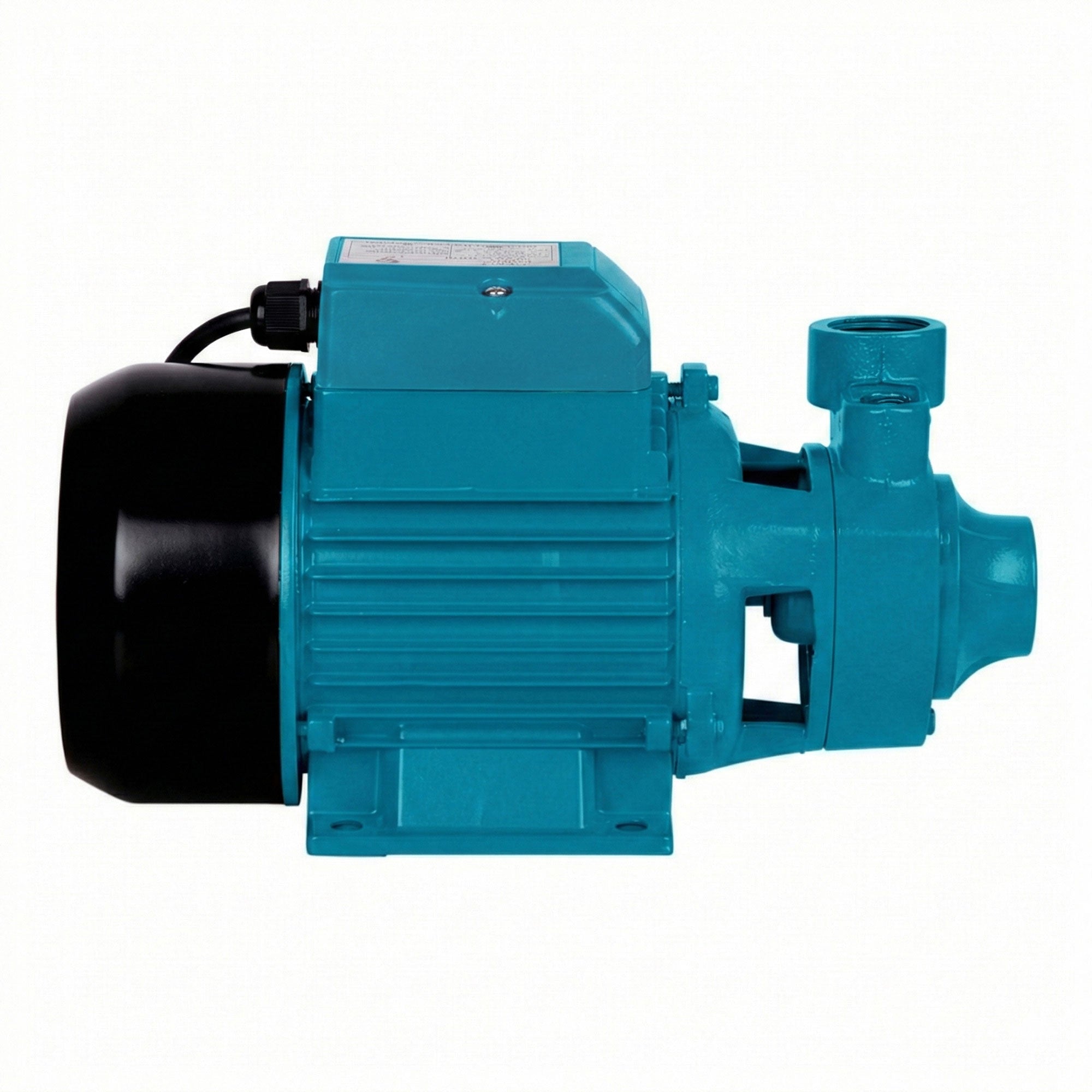 750W Garden Water Pump 3300L/H High Pressure Irrigation Pool Pump 1HP