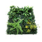 4PCS Artificial Green Wall Panels 40x60cm UV Resistant Boxwood Hedge Decor