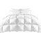 700GSM Goose Down Quilt Doona Duvet Blanket Super King