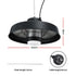 2000W Outdoor Electric Patio Heater Ceiling Mount with LED Light Remote