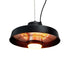 2000W Outdoor Electric Patio Heater Ceiling Mount with LED Light Remote
