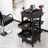 Embellir 6-Tier Salon Trolley Cart on Wheels Barber Mobile Hairdressing Cart