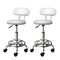 Artiss 2x Salon Stool Swivel Chair Backrest White