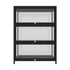 Display Cabinet 3 Tiers Clear Door Black