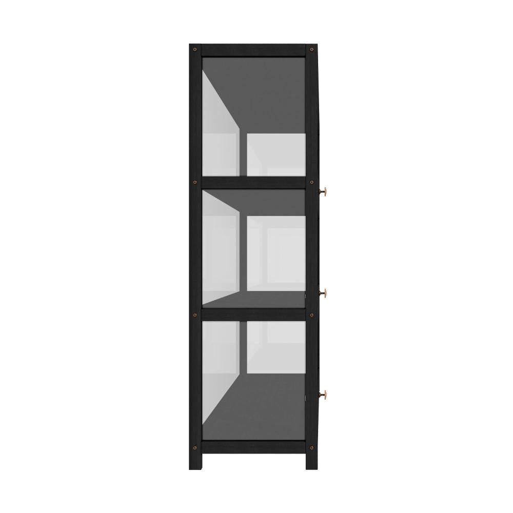 Display Cabinet 3 Tiers Clear Door Black