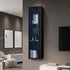 Wall Mounted Display Cabinet LED High Gloss Cupboard Black