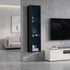 2PCS LED Display Cabinet Wall Mounted Storage Cupboard Black