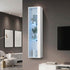 Wall Mounted Display Cabinet LED High Gloss Cupboard Whtie