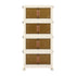 Artiss 4-Tier Foldable Storage Cabinet Stackable Box Clear Magnetic Door White