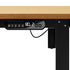 120CM Electric Standing Desk with Drawer Height Adjustable Black & Oak