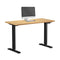 120CM Electric Standing Desk Single Motor Black&Oak