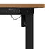 120CM Electric Standing Desk Single Motor Black&Oak