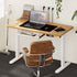 120CM Electric Standing Desk with Drawer Height Adjustable White & Oak