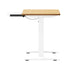 120CM Electric Standing Desk with Drawer Height Adjustable White & Oak