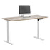 Electric Standing Desk Single Motor White&Grey-Oak 140CM
