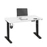 Standing Desk Adjustable Motorised Black&White
