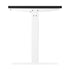 Standing Desk Adjustable Motorised 120cm White&Black