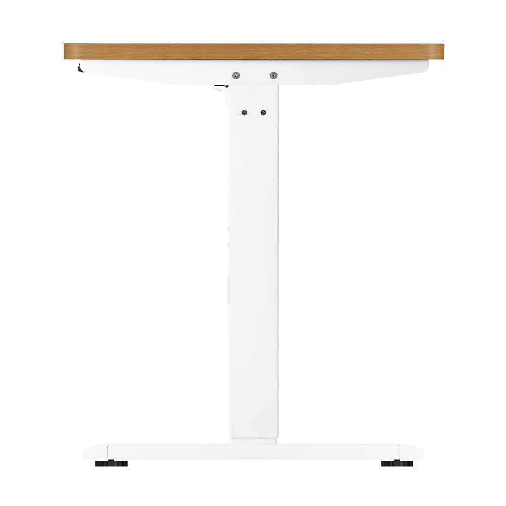 Sit Stand Desk Motorised Adjustable 160cm White&Oak