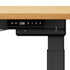 160cm Electric Standing Desk with Drawer Adjustable Oak Black