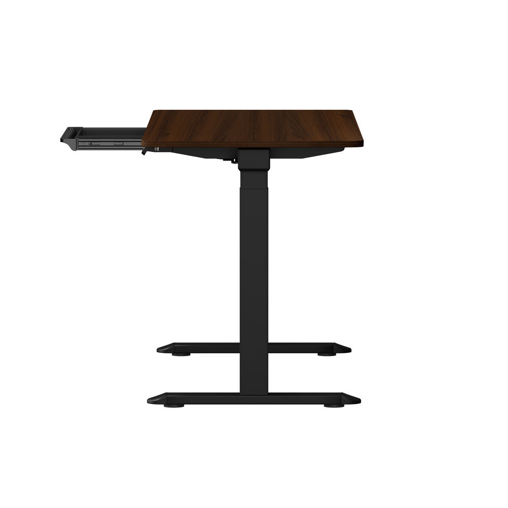 160cm Electric Standing Desk with Drawer Adjustable Black Walnut