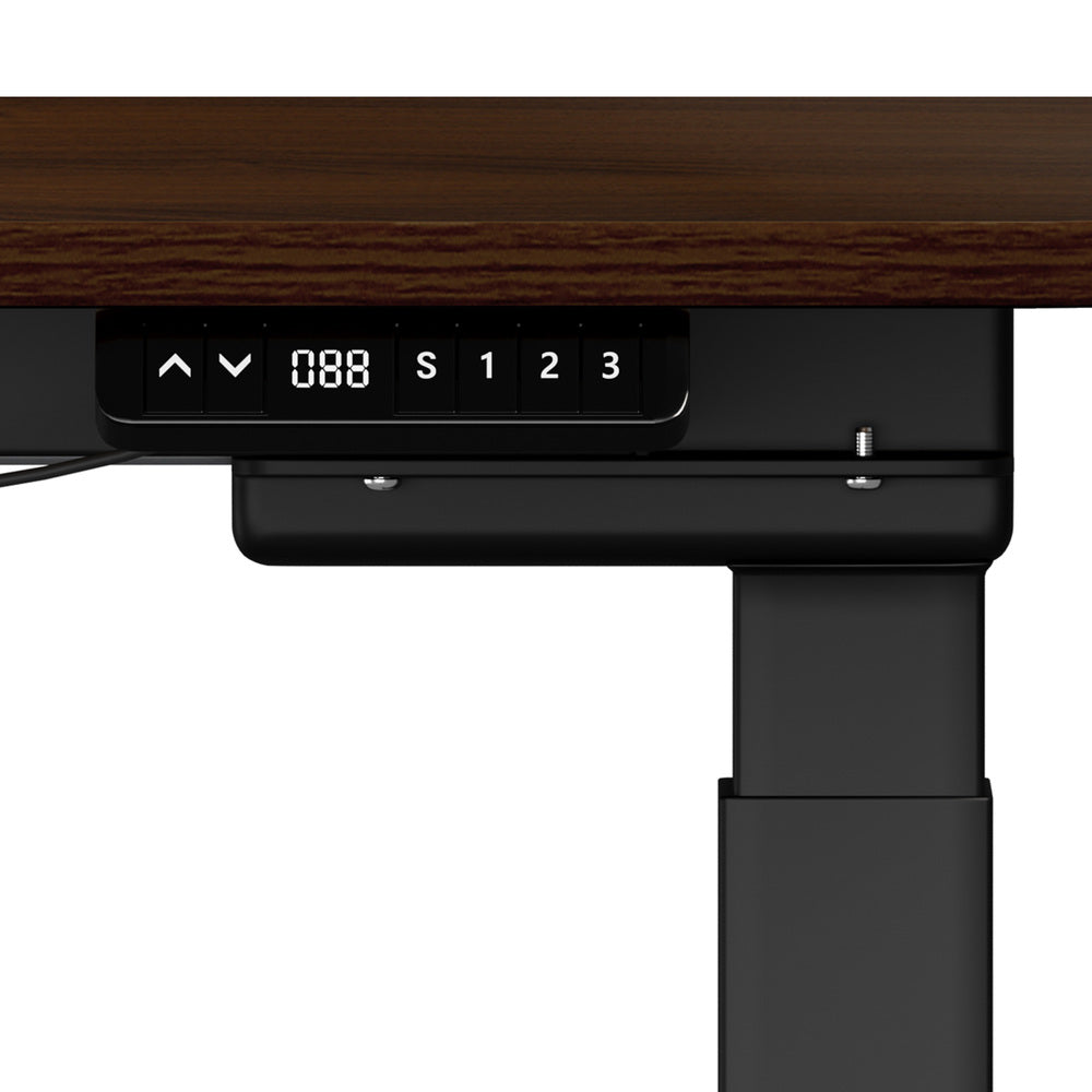 160cm Electric Standing Desk with Drawer Adjustable Black Walnut