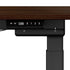 160cm Electric Standing Desk with Drawer Adjustable Black Walnut