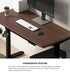 160cm Electric Standing Desk with Drawer Adjustable Black Walnut