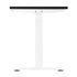 Standing Desk Dual Motor Adjustable 120cm White&Black