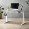 Standing Desk Dual Motor Adjustable 120cm White&Oak