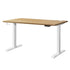 Standing Desk Dual Motor Adjustable 120cm White&Oak