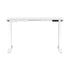 Standing Desk Dual Motor Adjustable 120cm White