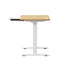150cm Electric Standing Desk with Drawer Adjustable White Oak