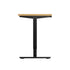 Electric Standing Desk Single Motor Black&Oak 120cm