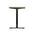 Electric Standing Desk Single Motor Black&Oak 140cm
