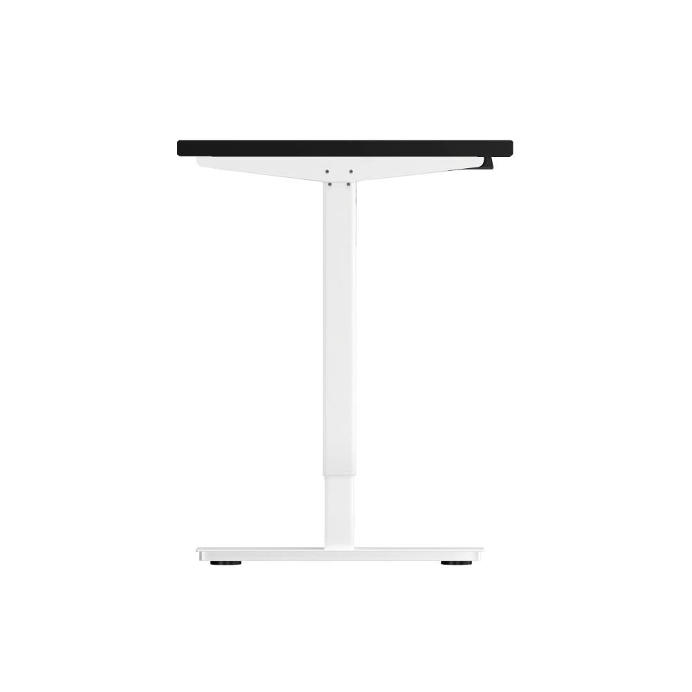 Electric Standing Desk Single Motor Walnut&Black 120cm